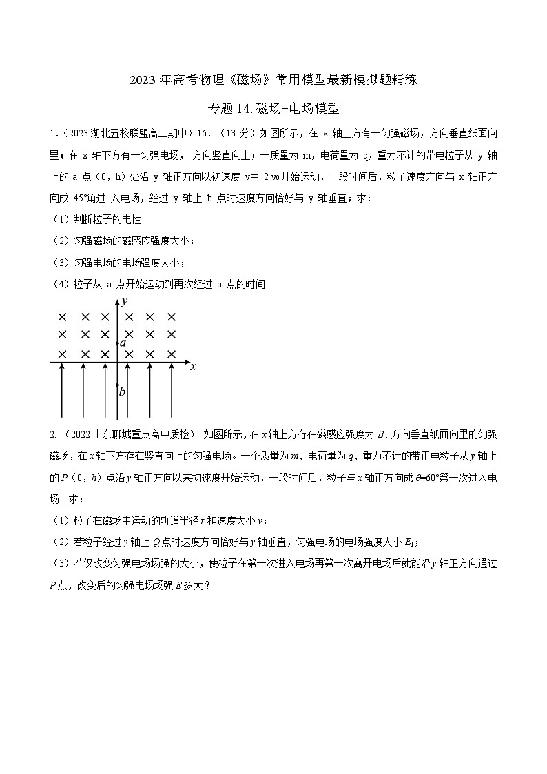 高考物理磁场常用模型最新模拟题精练专题14.磁场+电场模型(原卷版+解析)01