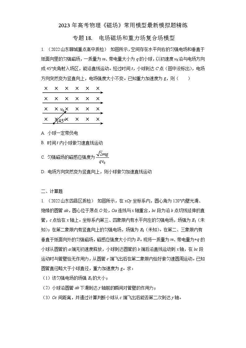 高考物理磁场常用模型最新模拟题精练专题18电场磁场和重力场复合场模型(原卷版+解析)第1页