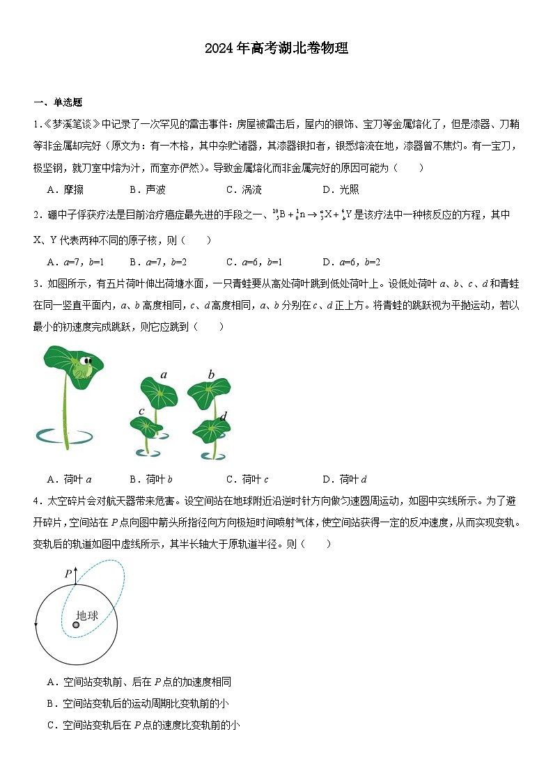 2024年湖北高考物理真题试题（原卷版+含解析）01