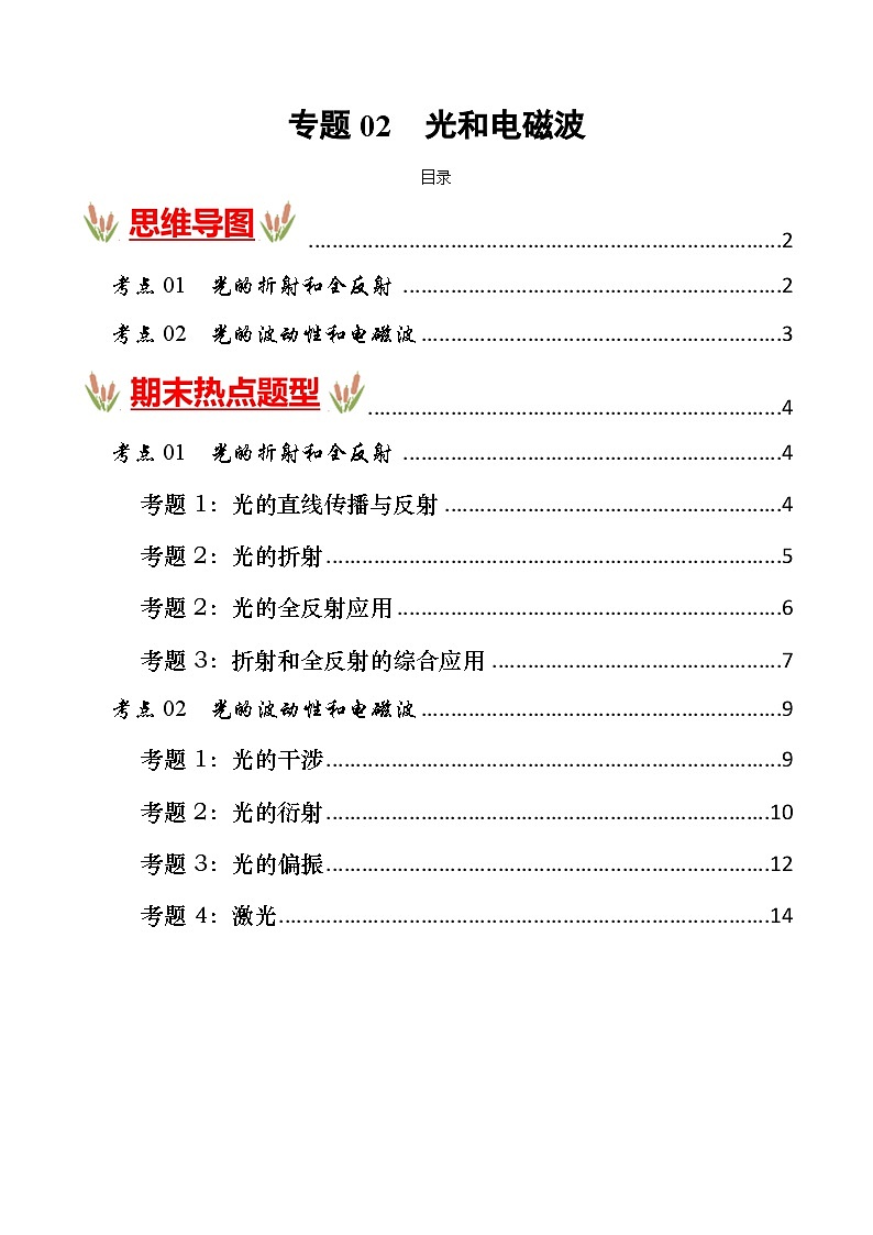 考点清单 专题02  光和电磁波（原卷版+解析版）2023-2024学年高二物理下学期期末考点大串讲（人教版2019）01