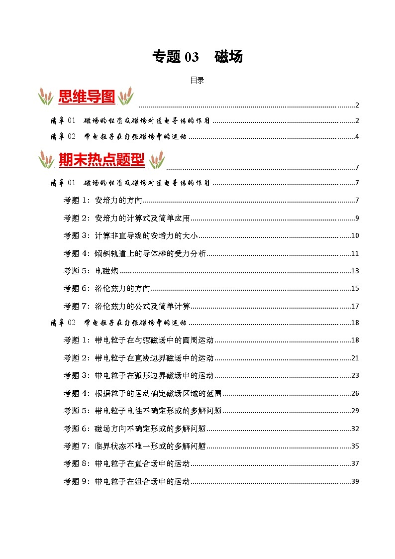 考点清单 专题03  磁场（原卷版+解析版）2023-2024学年高二物理下学期期末考点大串讲（人教版2019）01