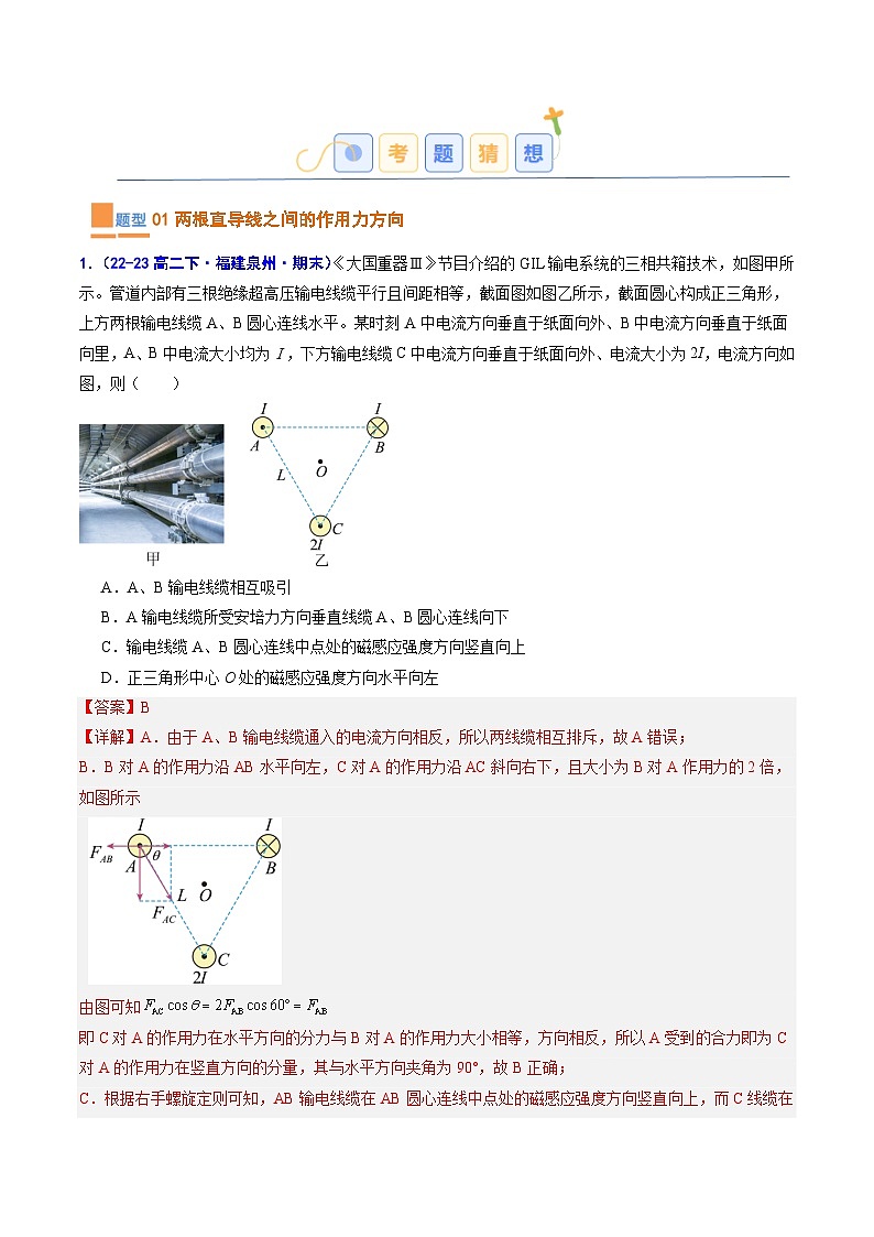 考题猜想03  磁场对电流、电荷的作用（原卷版+解析版）2023-2024学年高二物理下学期期末考点大串讲（人教版2019）02