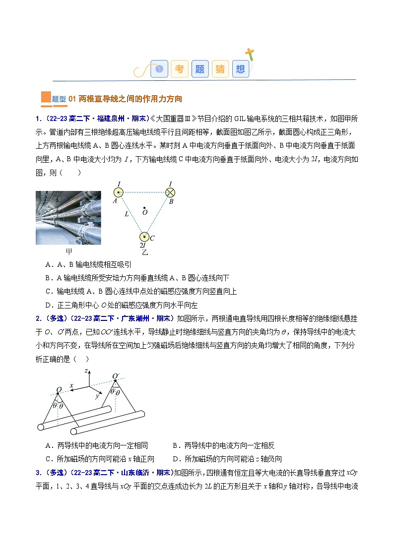 考题猜想03  磁场对电流、电荷的作用（原卷版+解析版）2023-2024学年高二物理下学期期末考点大串讲（人教版2019）02