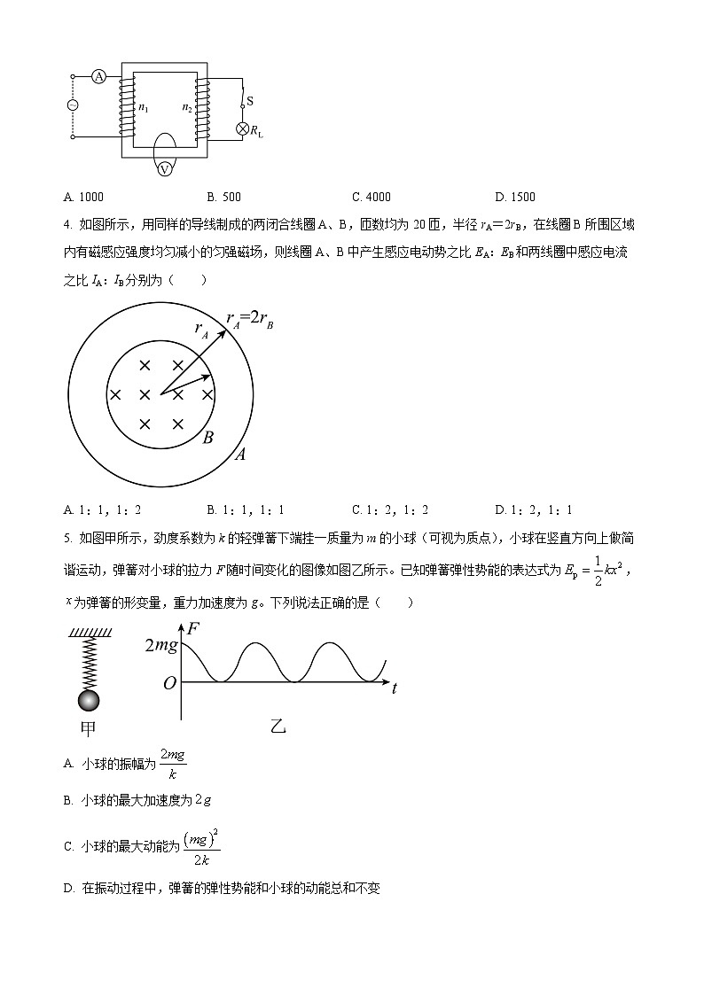 湖北省武汉市新洲区2023-2024学年高二下学期6月期末物理试题无答案第2页