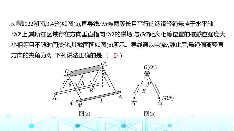 高考物理（山东专用）一轮复习专题一0一磁场训练课件07