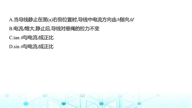 高考物理（山东专用）一轮复习专题一0一磁场训练课件08