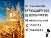 4.2光电效应+课件-2023-2024学年高二下学期物理人教版（2019）选择性必修第三册