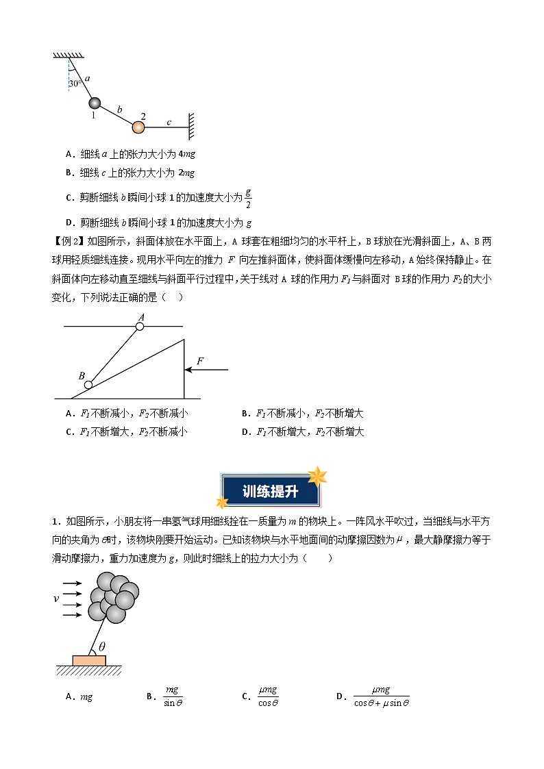 衔接点19 共点力的平衡（含答案）2024年初升高物理无忧衔接学案（通用版）03