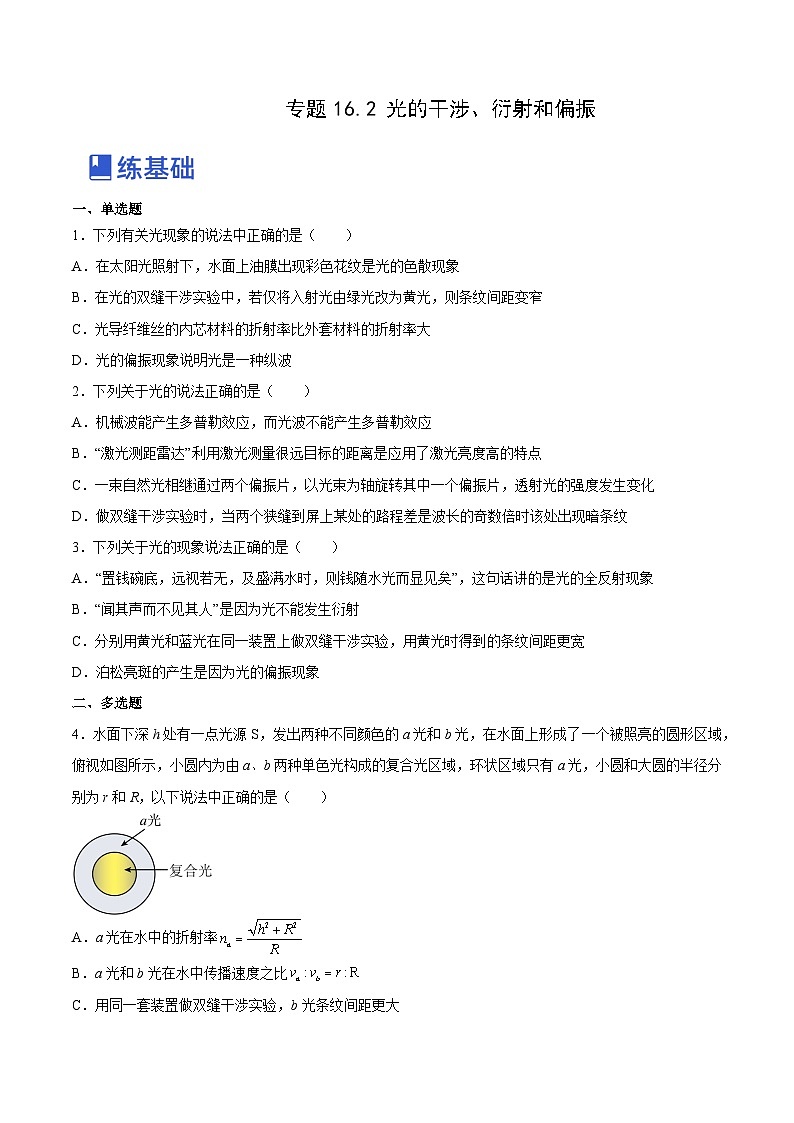 高考物理一轮复习讲练测(全国通用)16.2光的干涉、衍射和偏振(练)(原卷版+解析)01
