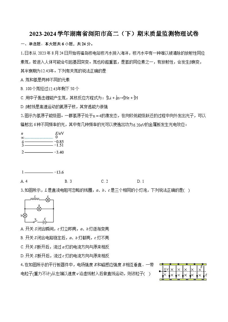 湖南省浏阳市2023-2024学年高二下学期期末质量监测物理试卷（Word版附答案）01