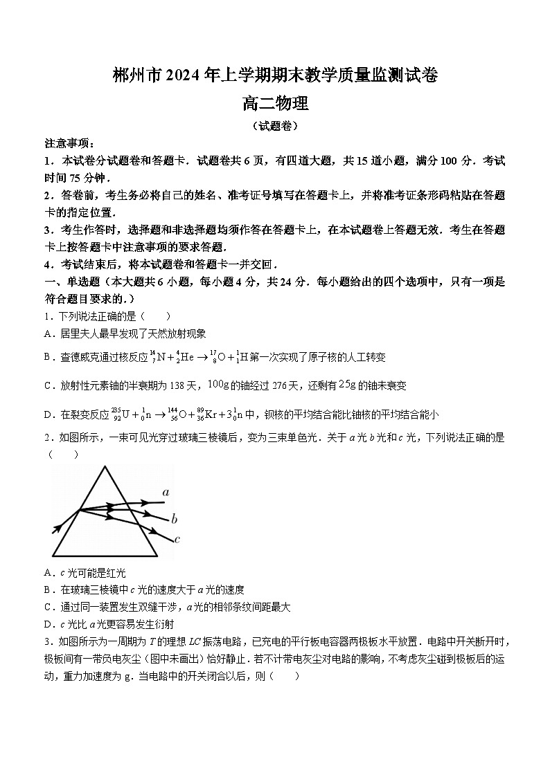 2024郴州高二下学期期末考试物理试卷含答案01