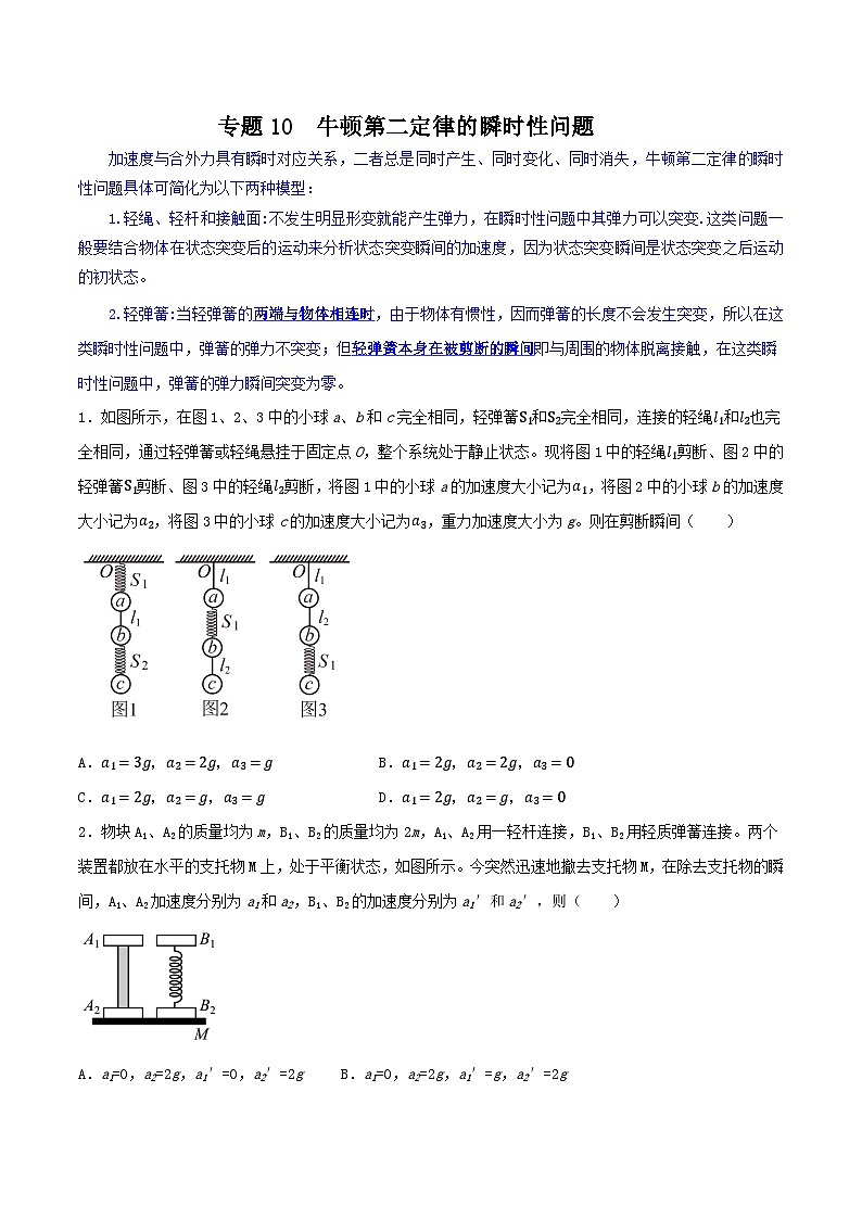 专题10 牛顿第二定律的瞬时性问题-【暑假衔接】新高二物理暑假查漏补缺（全国通用）01