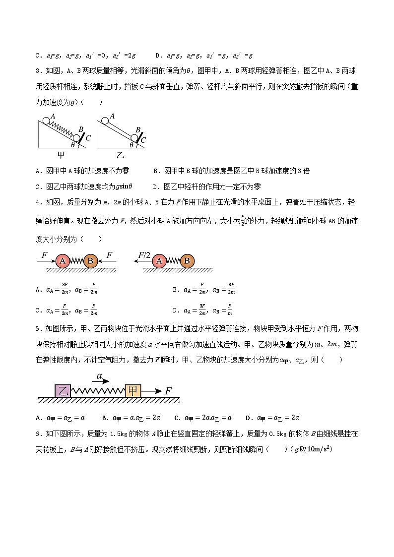 专题10 牛顿第二定律的瞬时性问题-【暑假衔接】新高二物理暑假查漏补缺（全国通用）02