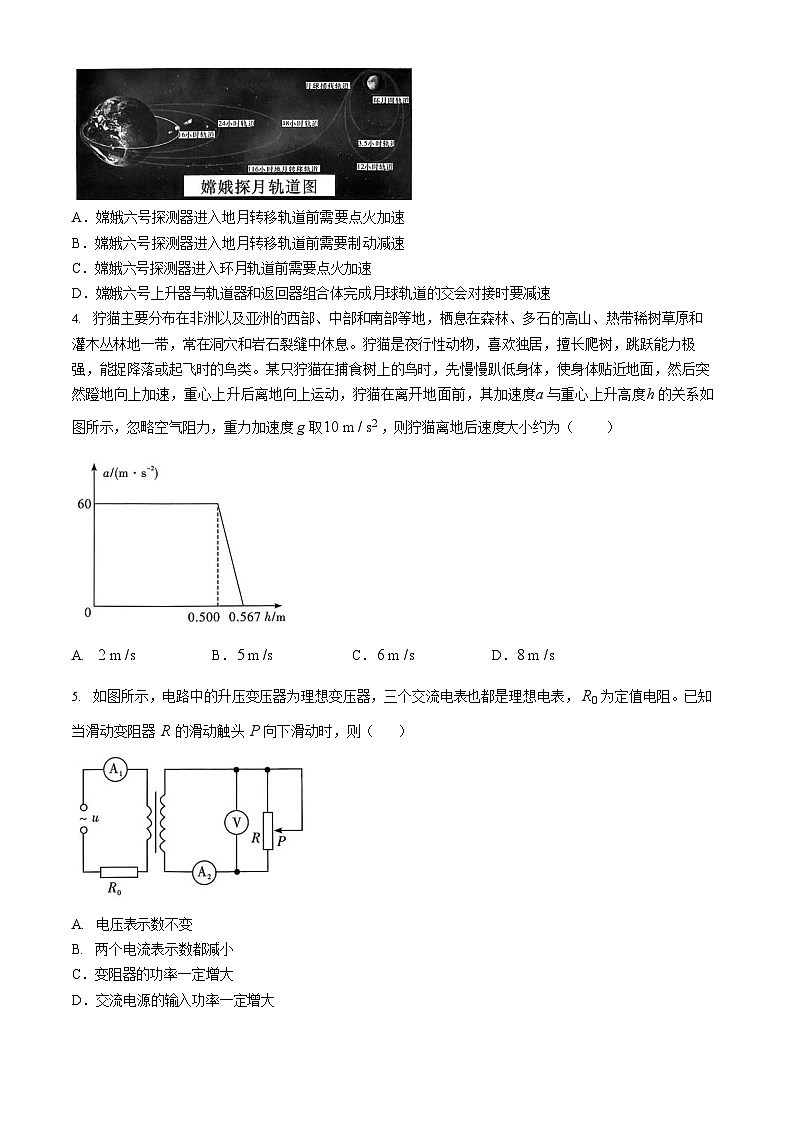 2025届湖南省名校联合体高三上学期入学摸底考试物理试题+答案第2页