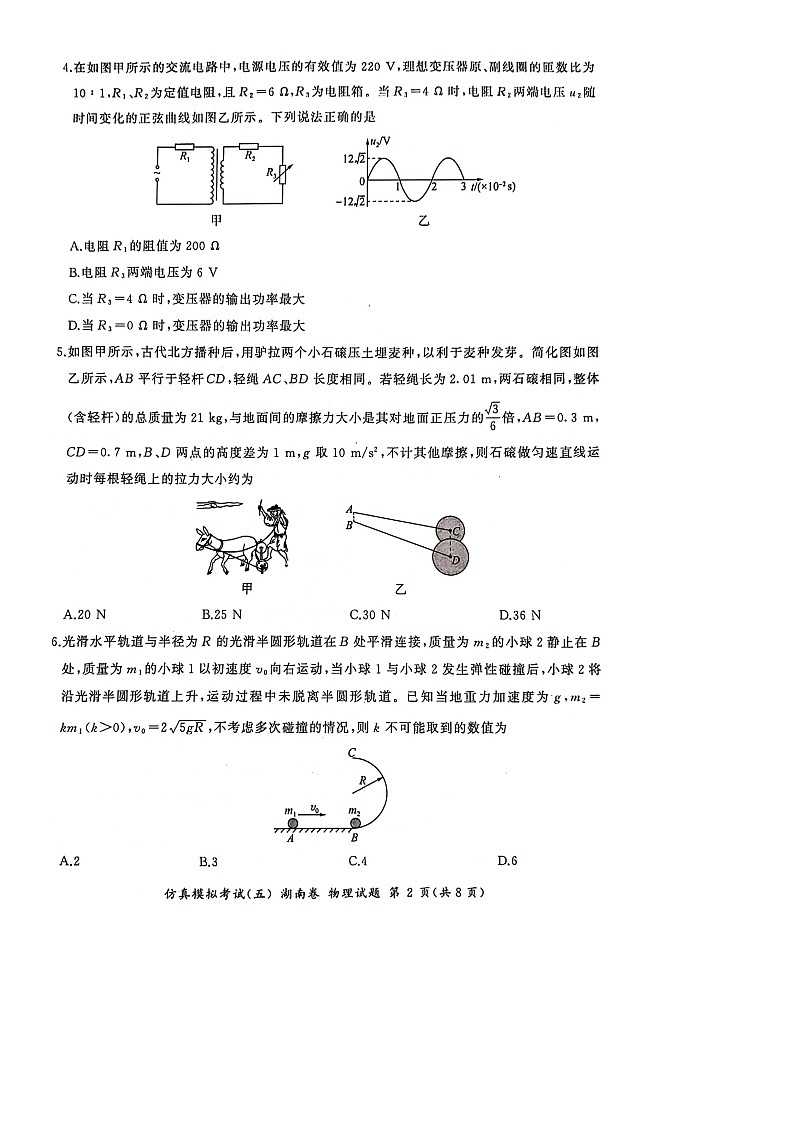 [物理]湖南省2024届高三下学期仿真模拟考试(五)试卷02