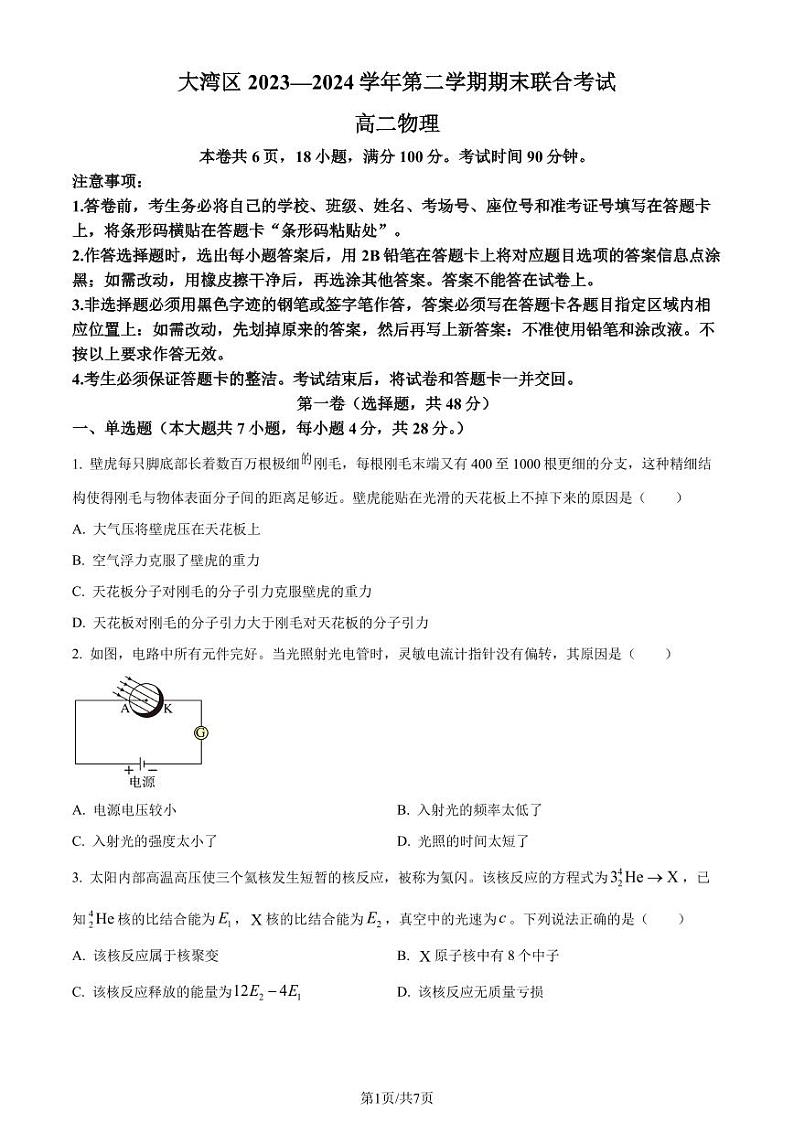 广东省大湾区2024年高二下学期7月期末物理试题+答案01