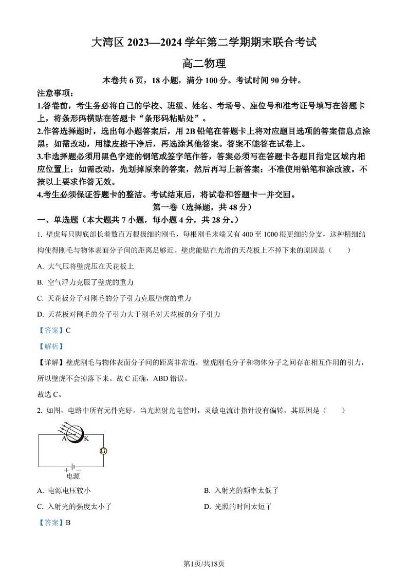 广东省大湾区2024年高二下学期7月期末物理试题+答案01