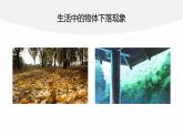 2.4　自由落体运动(一)  课件