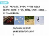 2.1　实验：探究小车速度随时间变化的规律 课件