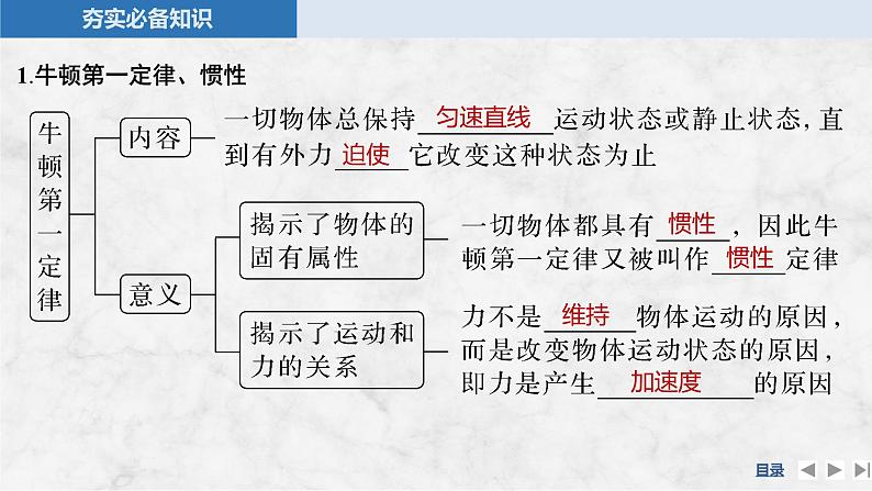 第三章　牛顿运动定律 第1讲　牛顿运动定律第5页
