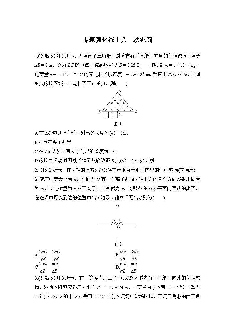 2025年高考物理二轮复习第十章　磁场 专题强化十八　动态圆课件+讲义（教师+学生）+跟踪练习01