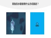 1.6　反冲现象　火箭  课件（2份打包）-高中物理选择性必修1（人教版2019）