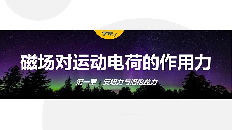 1.2  磁场对运动电荷的作用力   课件  高中物理选择性必修二（人教版2019）01