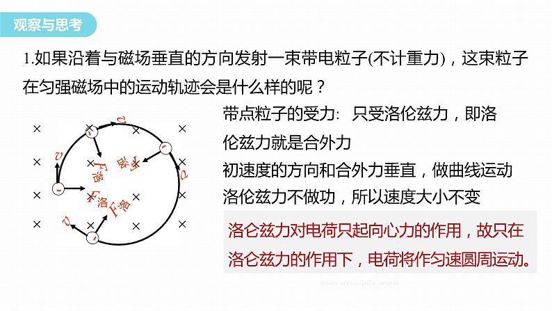 授课课件：第一章 学案5  带电粒子在匀强磁场中的运动第5页