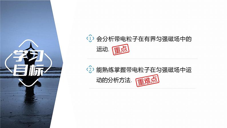 第一章　安培力与洛伦兹力　章末复习与专题  课件（7份打包）高中物理选择性必修二（人教版2019）02