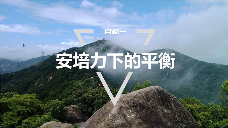 第一章　安培力与洛伦兹力　章末复习与专题  课件（7份打包）高中物理选择性必修二（人教版2019）03