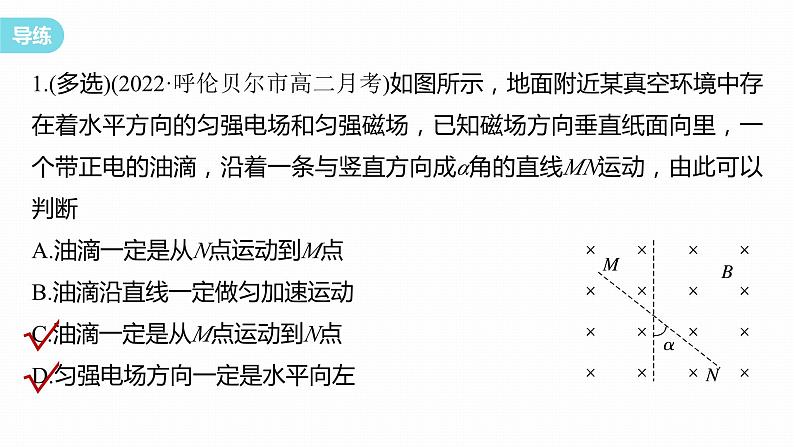 第一章　安培力与洛伦兹力　章末复习与专题  课件（7份打包）高中物理选择性必修二（人教版2019）06