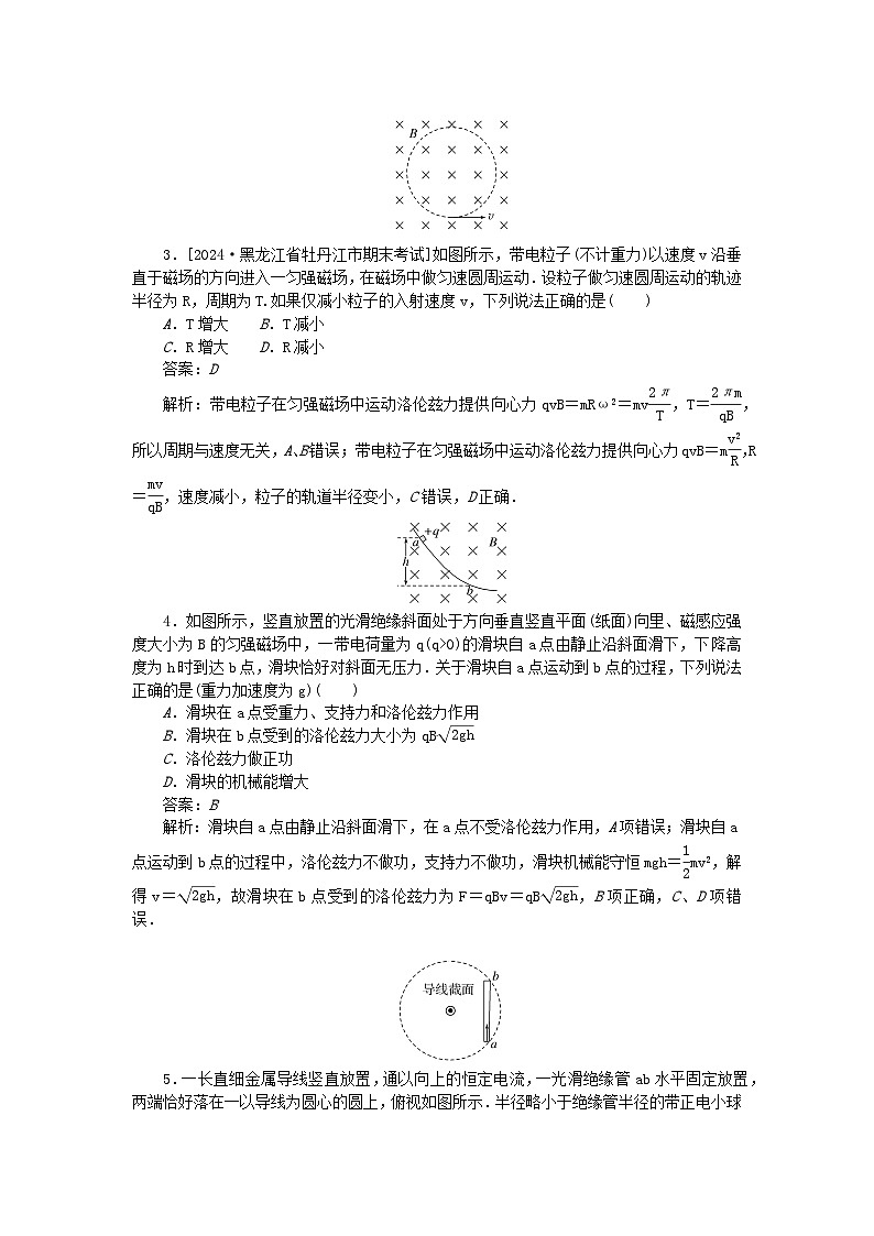 2025版高考物理一轮复习微专题小练习磁场专题64磁吃运动电荷的作用02