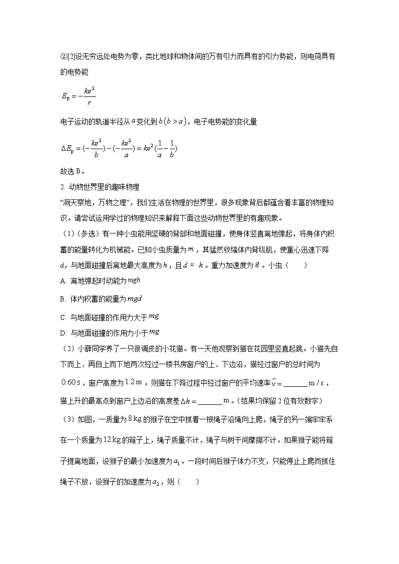 [物理][期末]上海市杨浦区2023-2024学年高二下学期期末模拟试题(解析版)03
