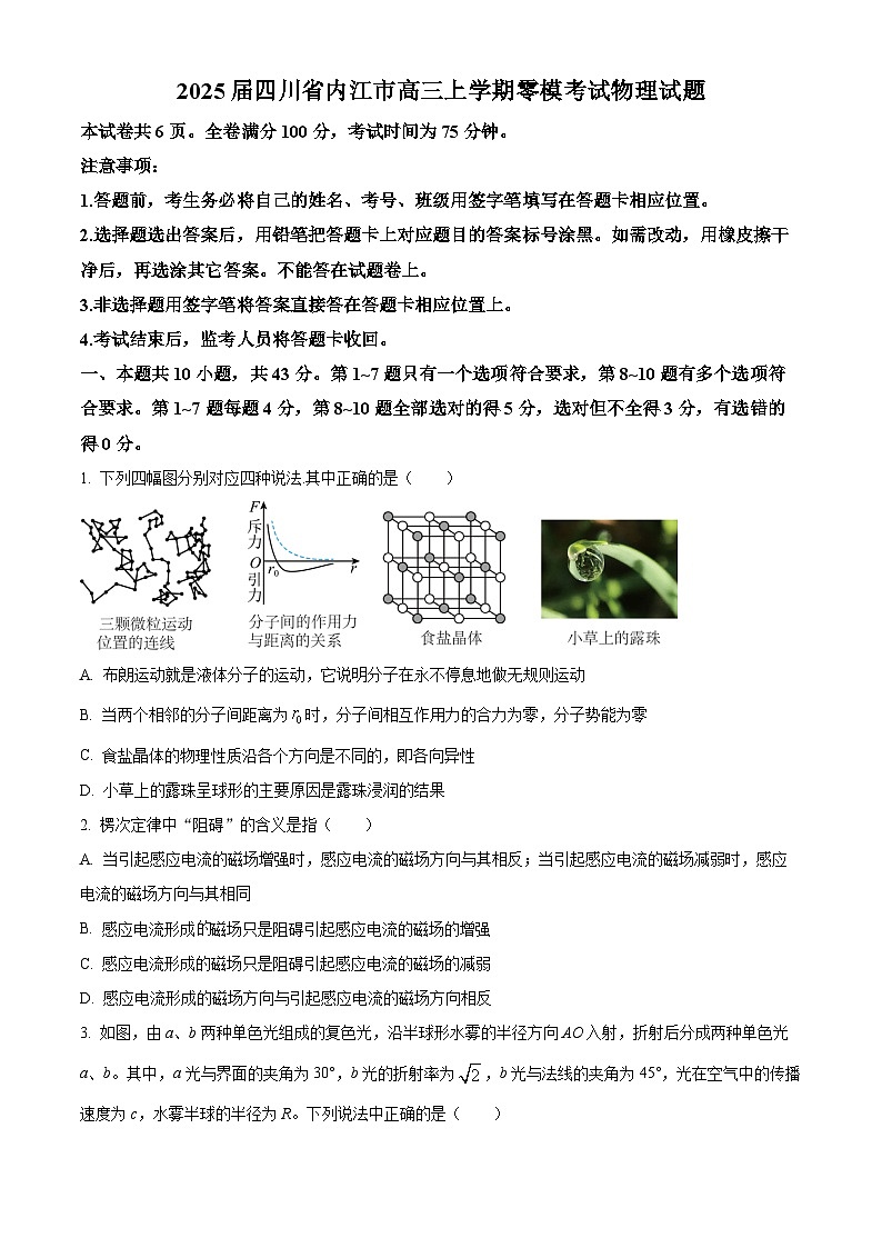 精品解析：四川省内江市2025届高三上学期入学零模考试物理试卷（原卷版）第1页