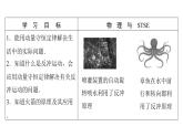 粤教版高中物理选择性必修第一册第1章动量和动量守恒定律第4节动量守恒定律的应用课件