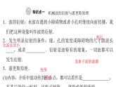 粤教版高中物理选择性必修第一册第3章机械波第3节机械波的传播现象课件