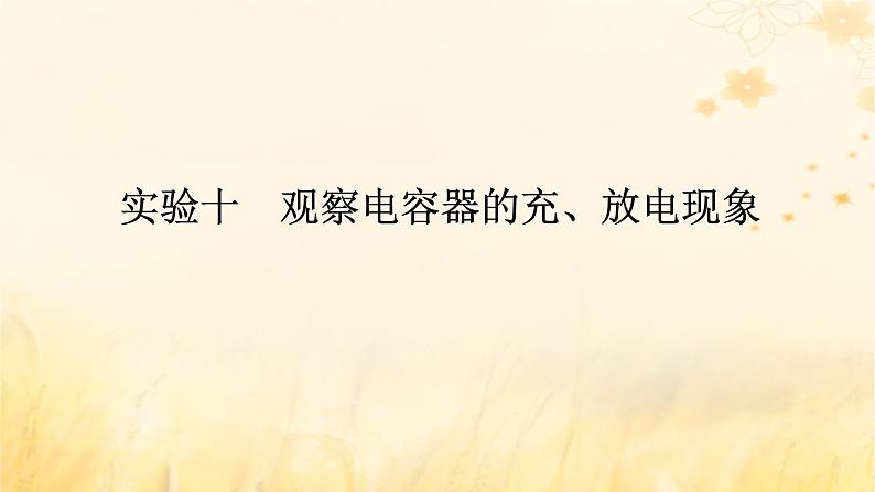 2025版高考物理全程一轮复习第九章静电场及其应用静电场中的能量实验十观察电容器的充放电现象课件第1页