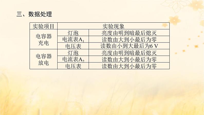 2025版高考物理全程一轮复习第九章静电场及其应用静电场中的能量实验十观察电容器的充放电现象课件第6页