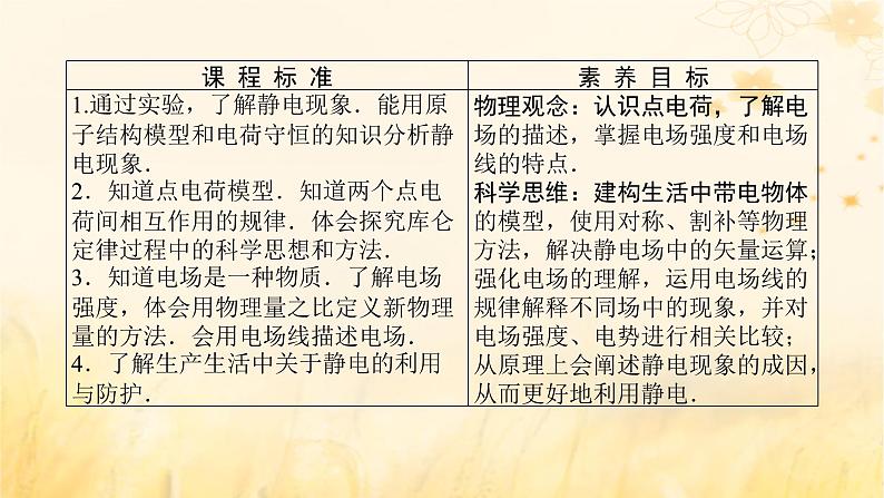 2025版高考物理全程一轮复习第九章静电场及其应用静电场中的能量第一讲静电场及其应用课件02