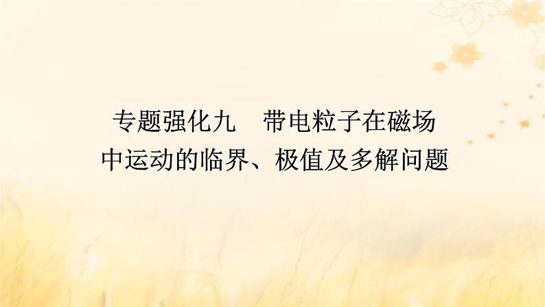 2025版高考物理全程一轮复习第十一章专题强化九带电粒子在磁场中运动的临界极值及多解问题课件01