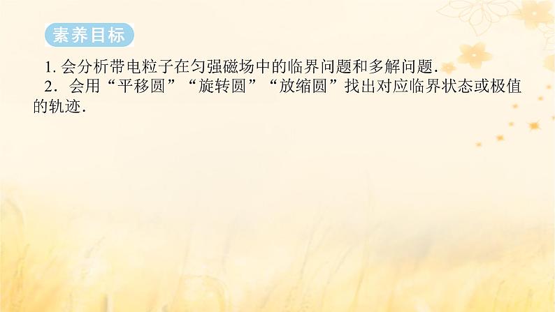 2025版高考物理全程一轮复习第十一章专题强化九带电粒子在磁场中运动的临界极值及多解问题课件02