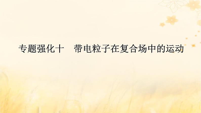 2025版高考物理全程一轮复习第十一章磁场安培力与洛伦兹力专题强化十带电粒子在复合场中的运动课件01