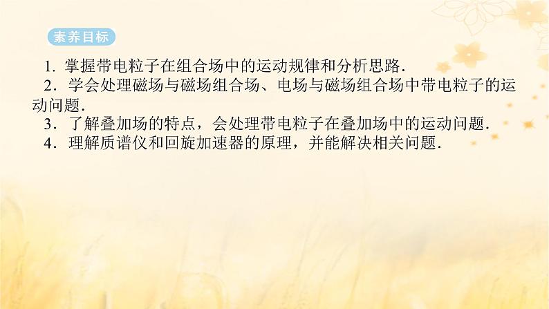 2025版高考物理全程一轮复习第十一章磁场安培力与洛伦兹力专题强化十带电粒子在复合场中的运动课件02