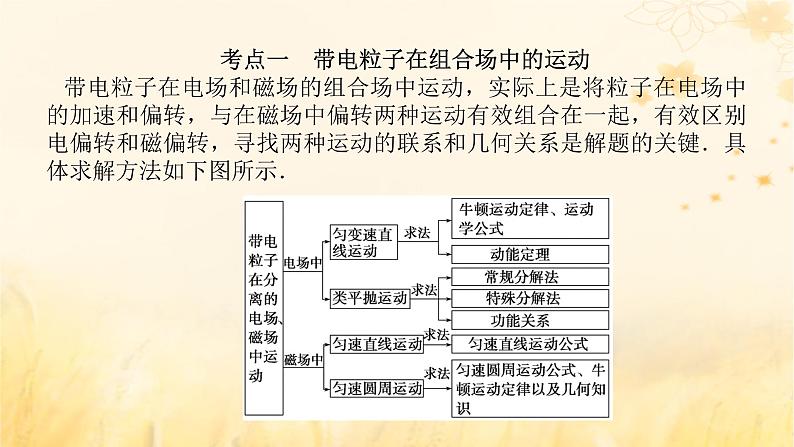 2025版高考物理全程一轮复习第十一章磁场安培力与洛伦兹力专题强化十带电粒子在复合场中的运动课件05