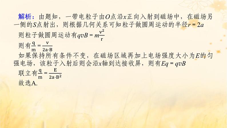 2025版高考物理全程一轮复习第十一章磁场安培力与洛伦兹力专题强化十带电粒子在复合场中的运动课件07