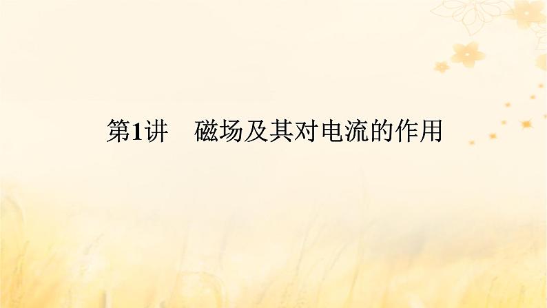 2025版高考物理全程一轮复习第十一章磁场安培力与洛伦兹力第一讲磁场及其对电流的作用课件第1页