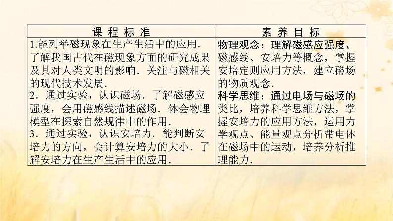 2025版高考物理全程一轮复习第十一章磁场安培力与洛伦兹力第一讲磁场及其对电流的作用课件第2页