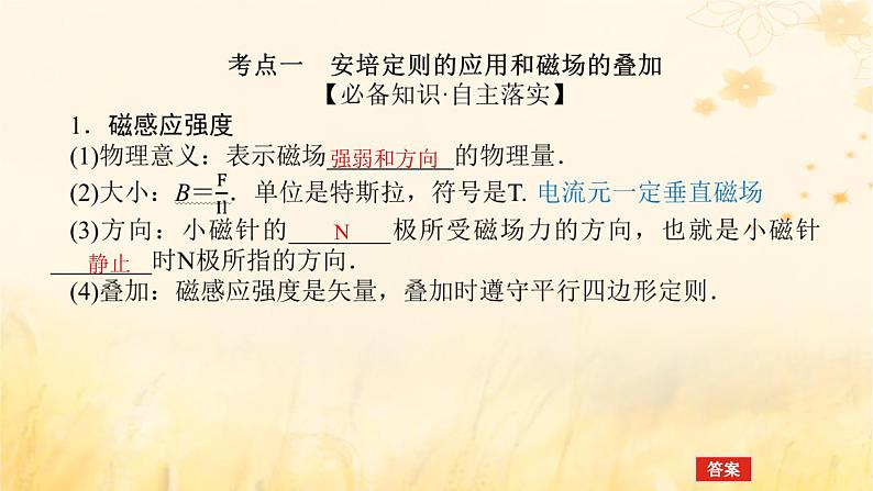 2025版高考物理全程一轮复习第十一章磁场安培力与洛伦兹力第一讲磁场及其对电流的作用课件第5页