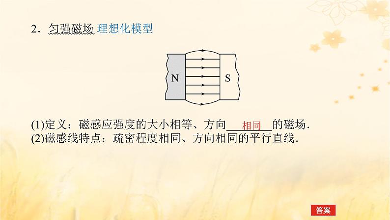 2025版高考物理全程一轮复习第十一章磁场安培力与洛伦兹力第一讲磁场及其对电流的作用课件第6页