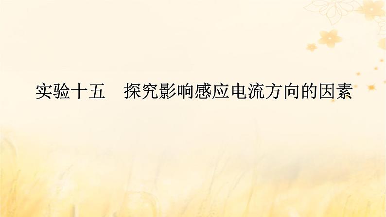 2025版高考物理全程一轮复习第十二章电磁感应实验十五探究影响感应电流方向的因素课件01